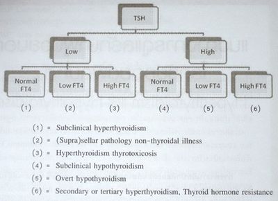 การรักษา Hyperthyroidism สมอง adenomas ของต